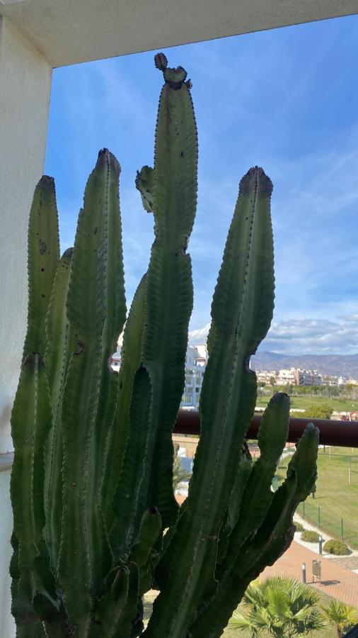 Apartamento Cabo De Gata-Toyo Leilighet Retamar  Eksteriør bilde